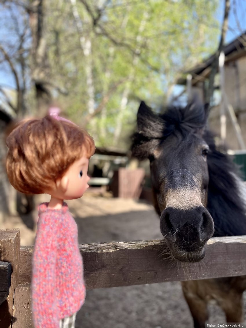 Забавный ушастик Birdy от itswafflecon (фото 9)