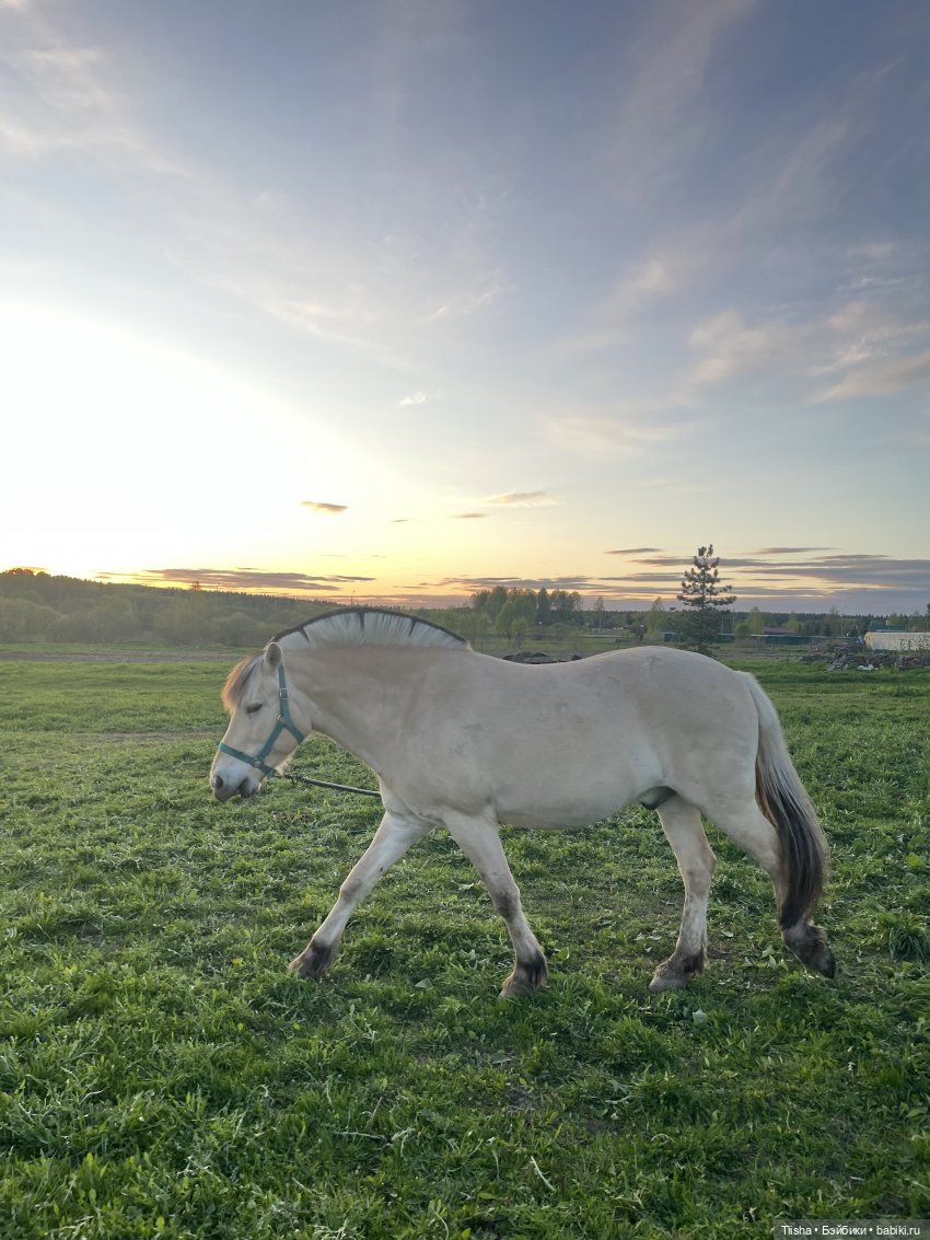 Дачные зарисовки с mini cherry doll (фото 9)