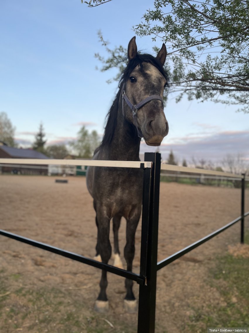 Дачные зарисовки с mini cherry doll