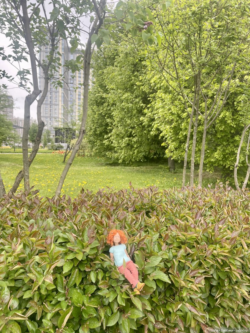 Пронька в Ботаническом саду | Бэйбики Пронька в Ботаническом саду