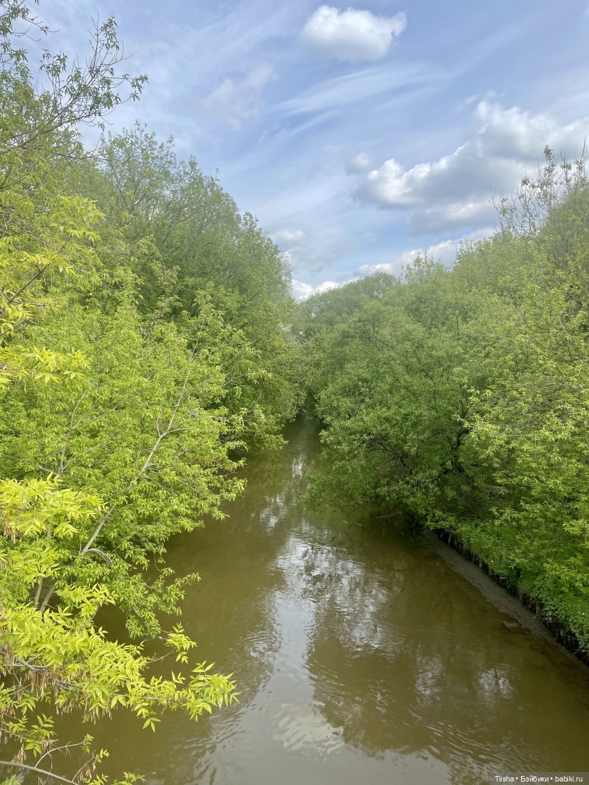 Пронька в Ботаническом саду | Бэйбики Пронька в Ботаническом саду