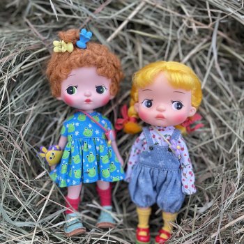 Деревенские зарисовки с Holala