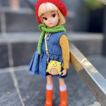 Репро Ликка (repro licca)