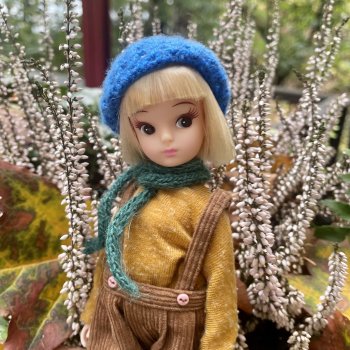 Осенняя Ликка