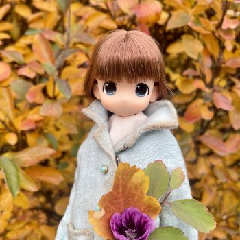 Осенняя Mamachapp