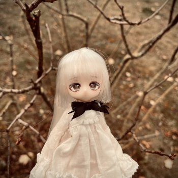 Густой туман от Momotale