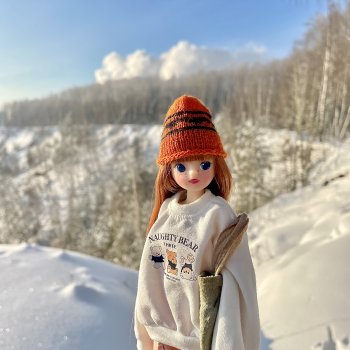 Чудесный зимний день.