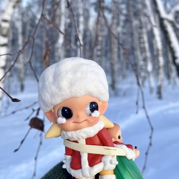 Первый зимний день с Zsiga