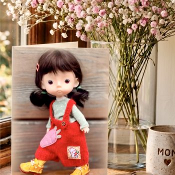 Jacoosun mini Rou
