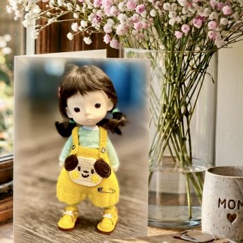 Комбезики для Jacoosun mini Rou