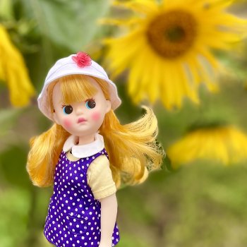 Солнышко Littleberry