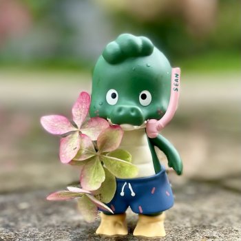Крокодильчик Шон ( Sean)