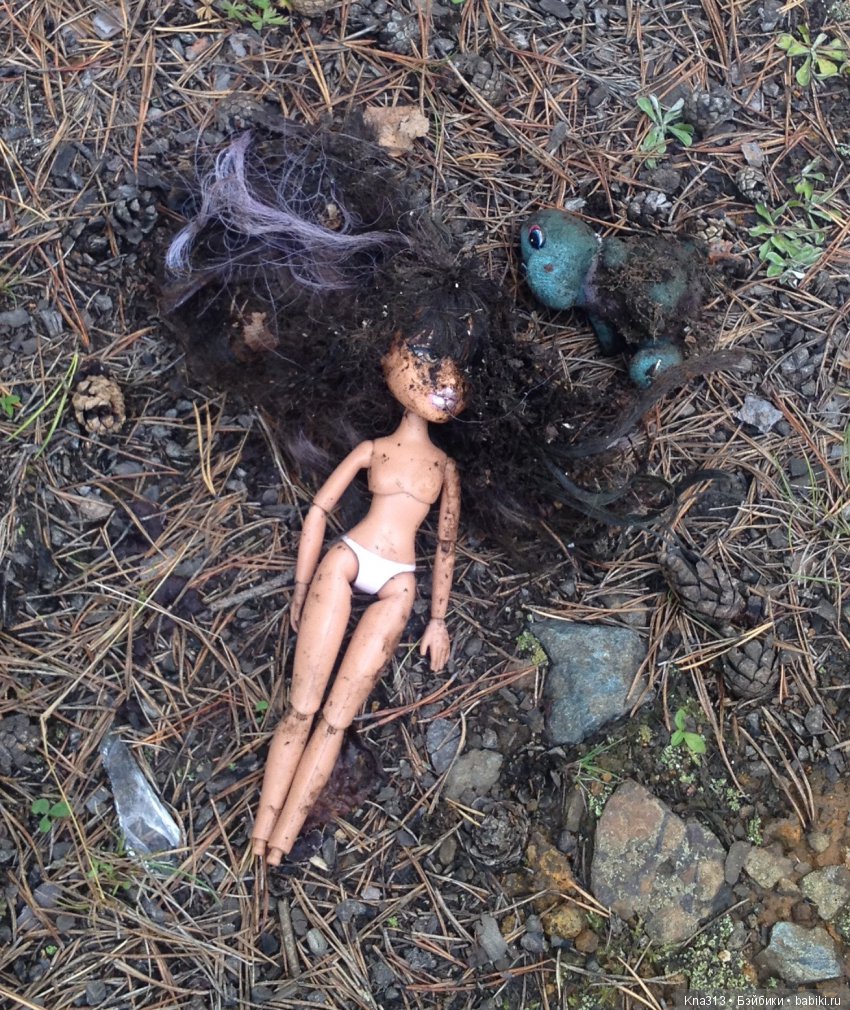 Они пытались вернуться домой, но (фото 5)