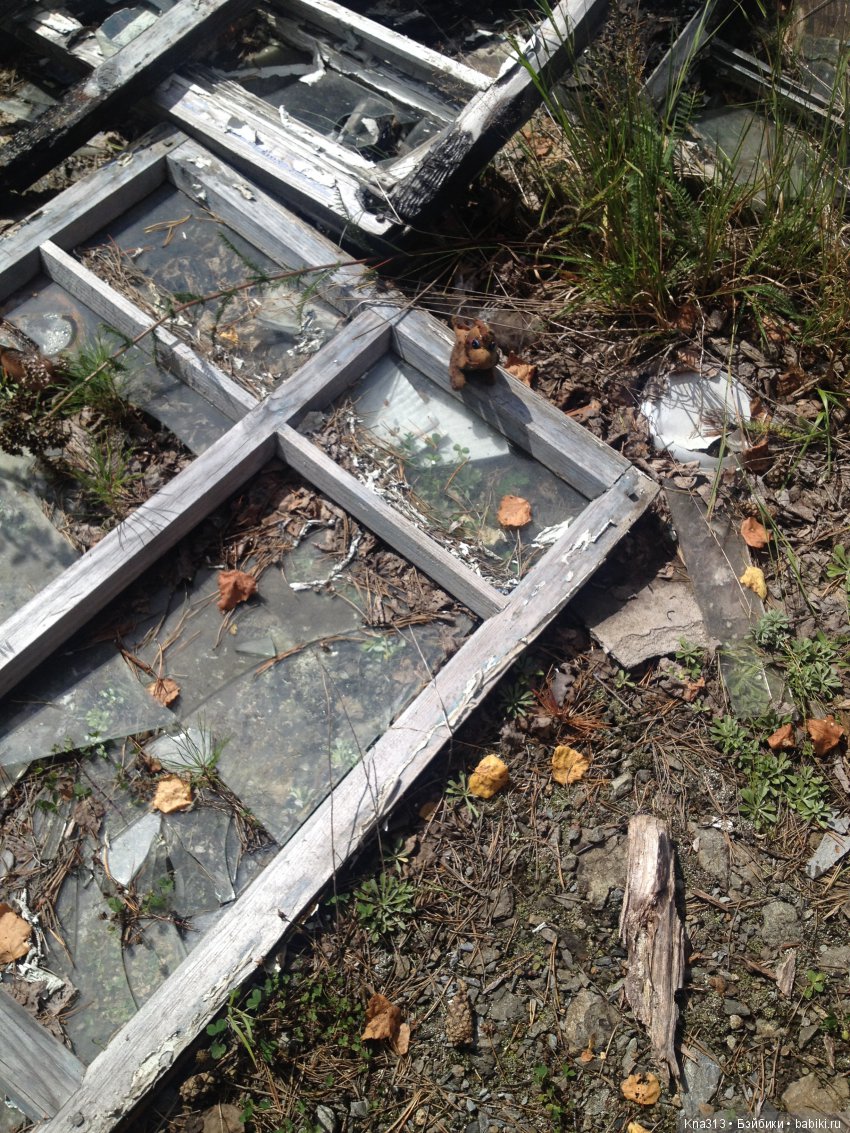 Они пытались вернуться домой, но (фото 6)