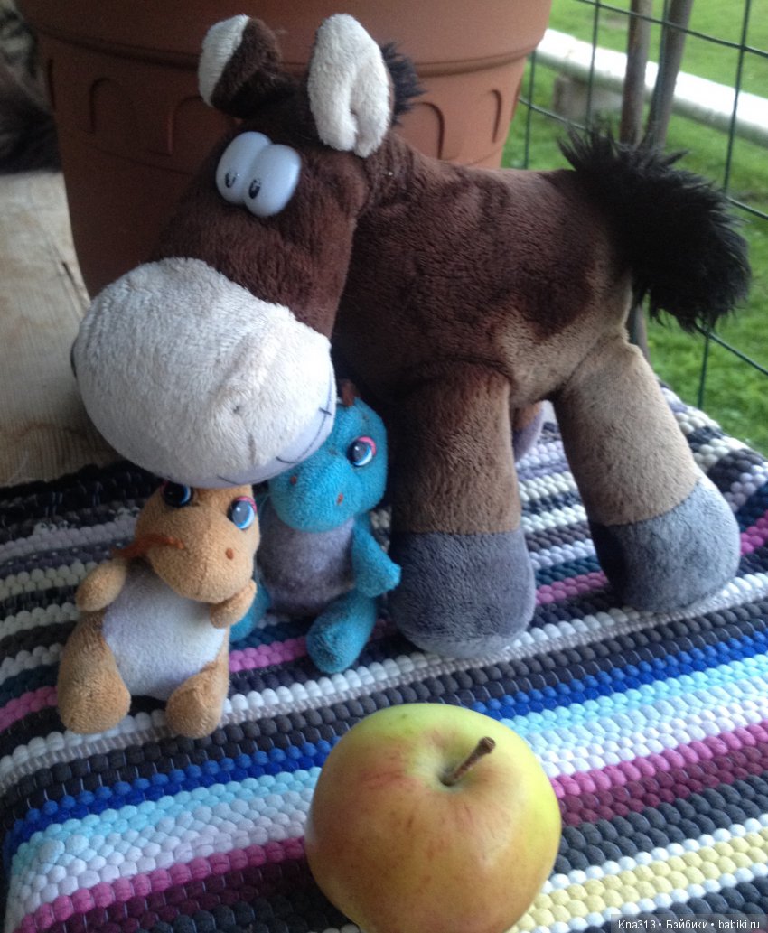 Они пытались вернуться домой, но (фото 9)