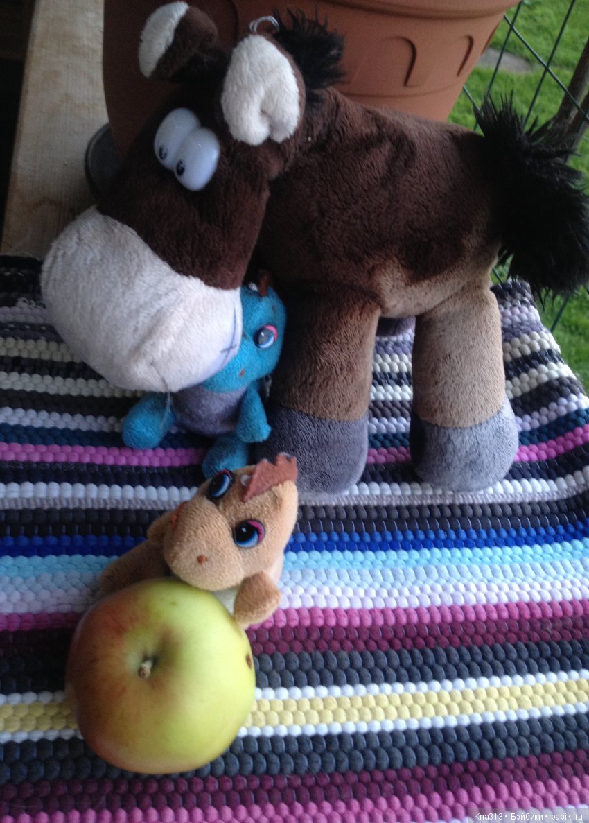 Они пытались вернуться домой, но