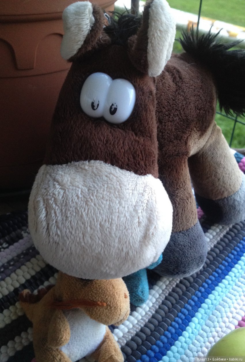 Они пытались вернуться домой, но (фото 10)