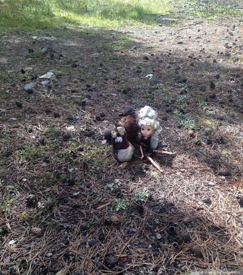 Они пытались вернуться домой, но (фото 3)