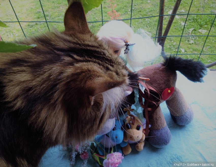 Продолжение. Преображение пяти лесных найденышей