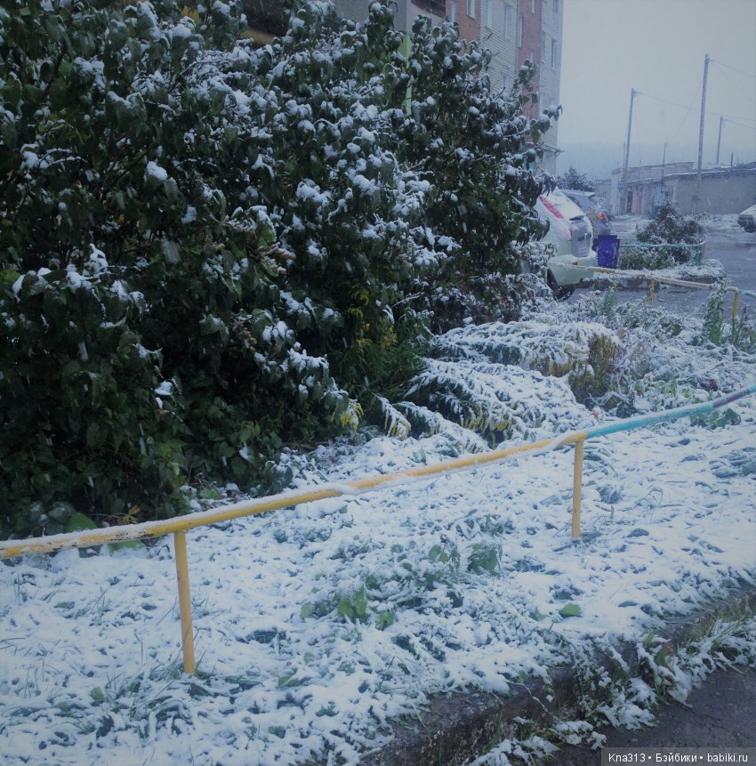 Под лаской плюшевого пледа (фото 3)