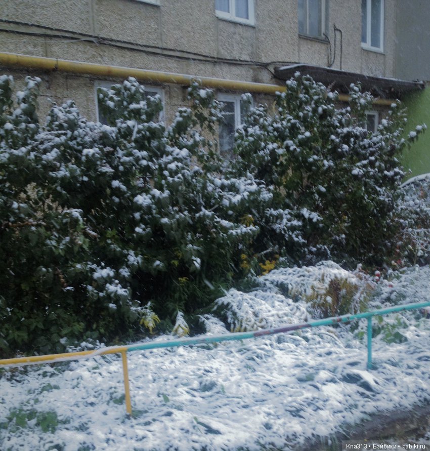 Под лаской плюшевого пледа (фото 2)