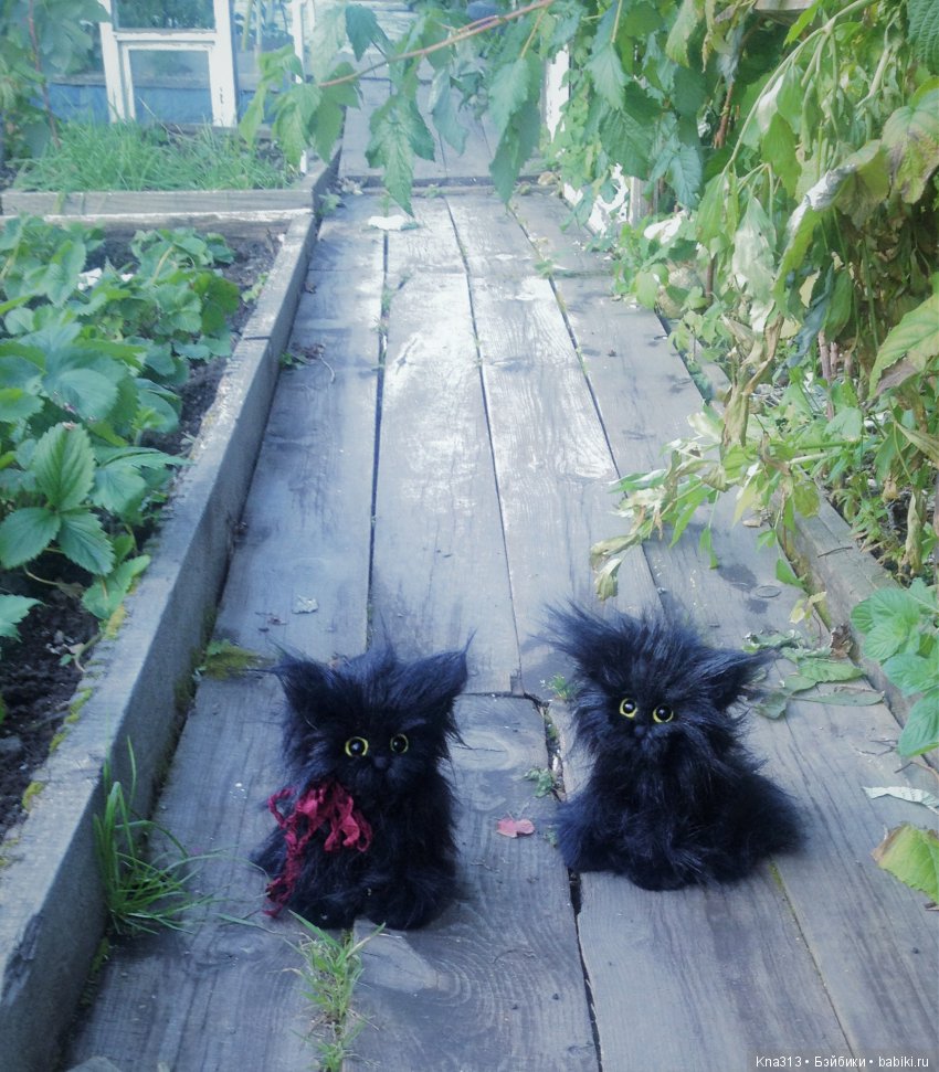 Мои парочки — Болталка и разговоры обо всем: жизнь