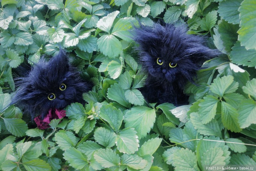 Мои парочки — Болталка и разговоры обо всем: жизнь (фото 10)