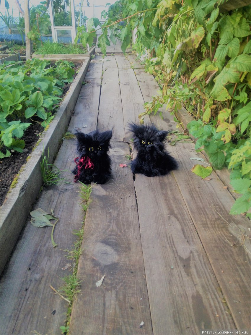 Мои парочки — Болталка и разговоры обо всем: жизнь