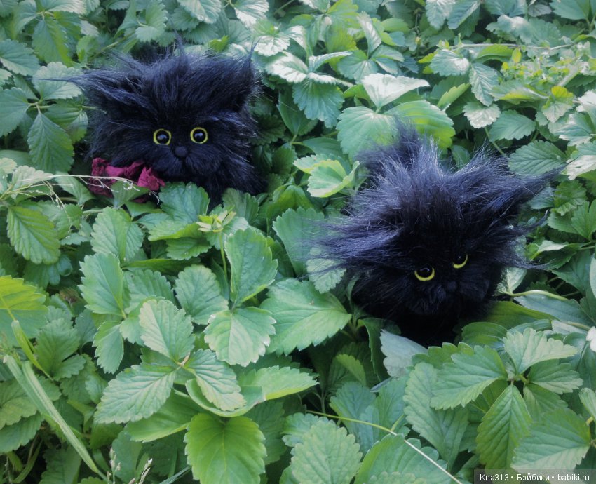 Мои парочки — Болталка и разговоры обо всем: жизнь (фото 9)