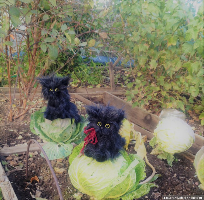 Мои парочки — Болталка и разговоры обо всем: жизнь (фото 8)