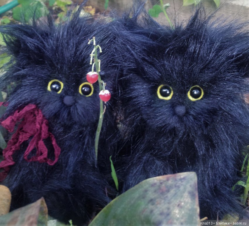 Мои парочки — Болталка и разговоры обо всем: жизнь (фото 7)