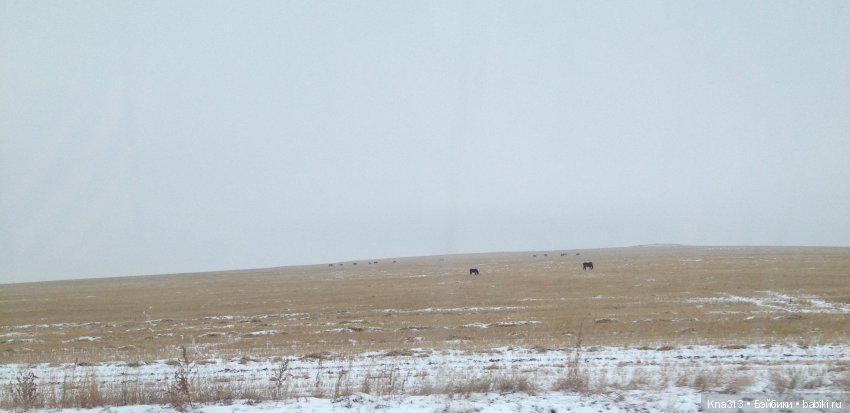 Ура!!! мы едем на хоккей или путешествие по Уралу