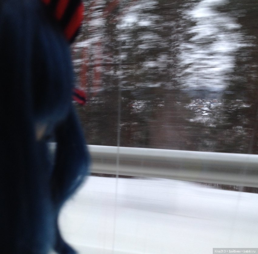 Ура!!! мы едем на хоккей или путешествие по Уралу (фото 9)