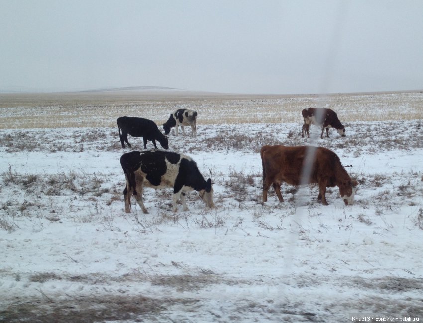 Ура!!! мы едем на хоккей или путешествие по Уралу