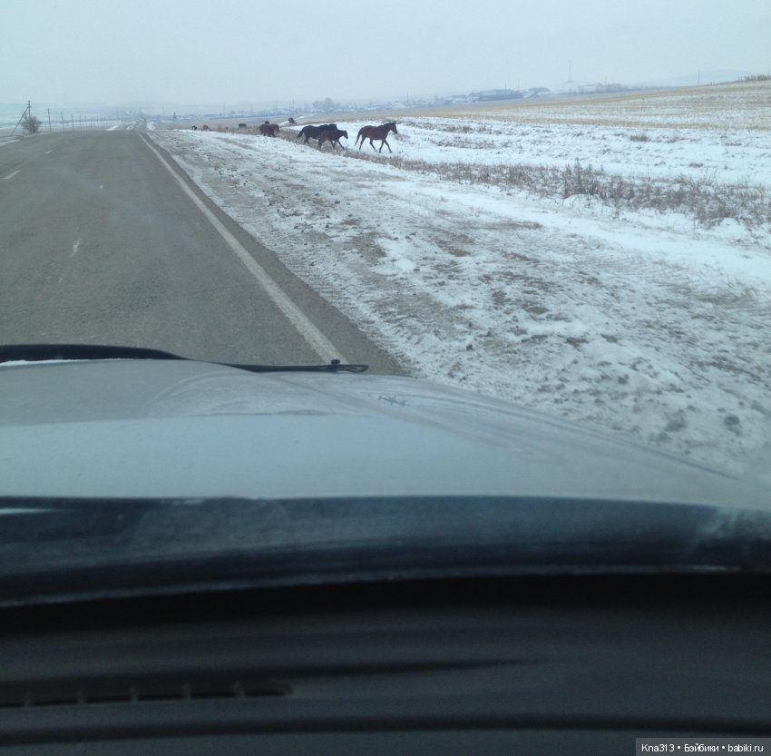 Ура!!! мы едем на хоккей или путешествие по Уралу