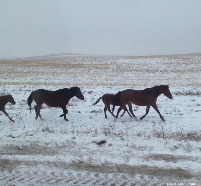 Ура!!! мы едем на хоккей или путешествие по Уралу
