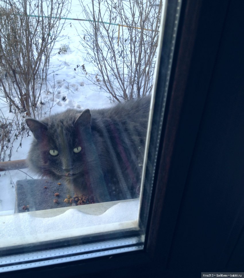 Как мы были Анонимным Дедом Морозом (фото 10)