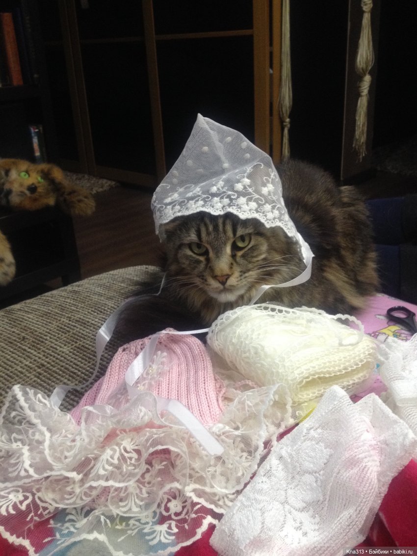 КошкоТопик. Все пишут про котиков сегодня, ну и вот, и мы хотим