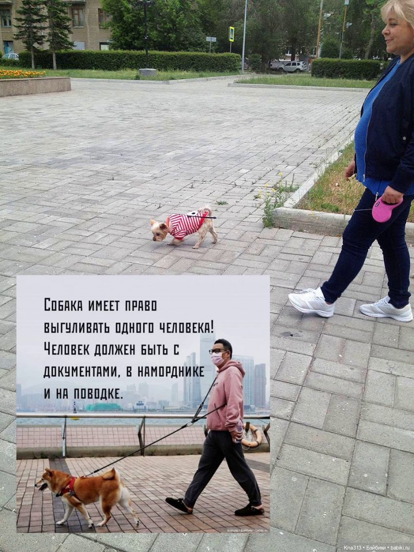 Побег, Лунная дорога, Антиизоляция