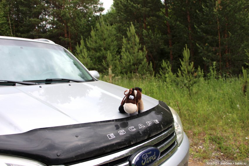 Как мы очень хотели попасть в конкурс "Отражение", но ничего не получилось (фото 8)