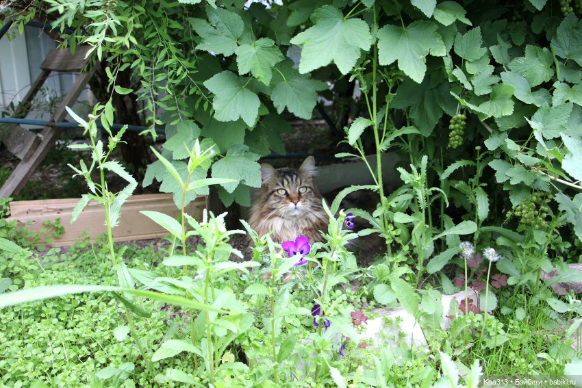 Как мы очень хотели попасть в конкурс "Отражение", но ничего не получилось