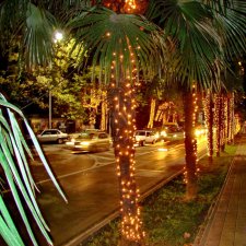 5300 км туда и обратно или Отпуск - Сочи - Море - Куклы