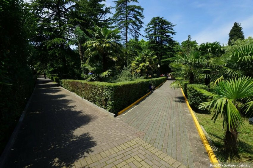 5300 км туда и обратно. До свидания Сочи (фото 6)