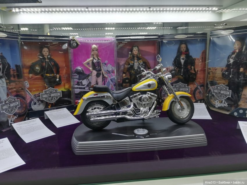 5300 км туда и обратно. До свидания Сочи