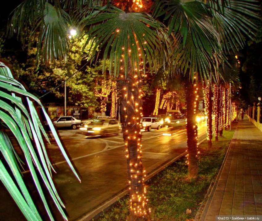 5300 км туда и обратно. До свидания Сочи