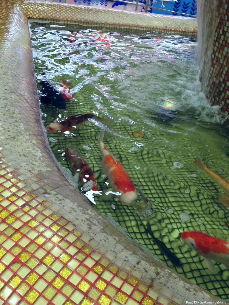 Жизнь возвращается — Туризм и путешествия: фотоотчеты из поездок