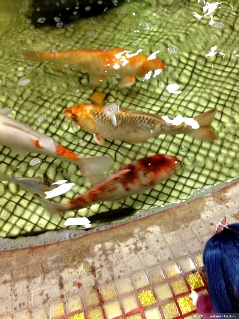 Жизнь возвращается — Туризм и путешествия: фотоотчеты из поездок