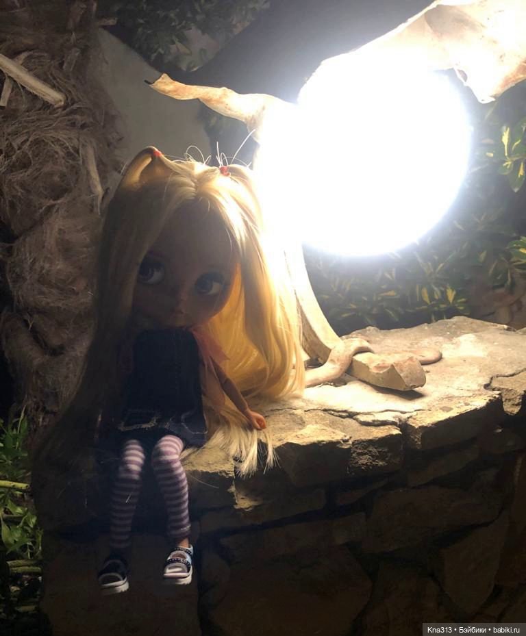 5300 км туда и обратно -2