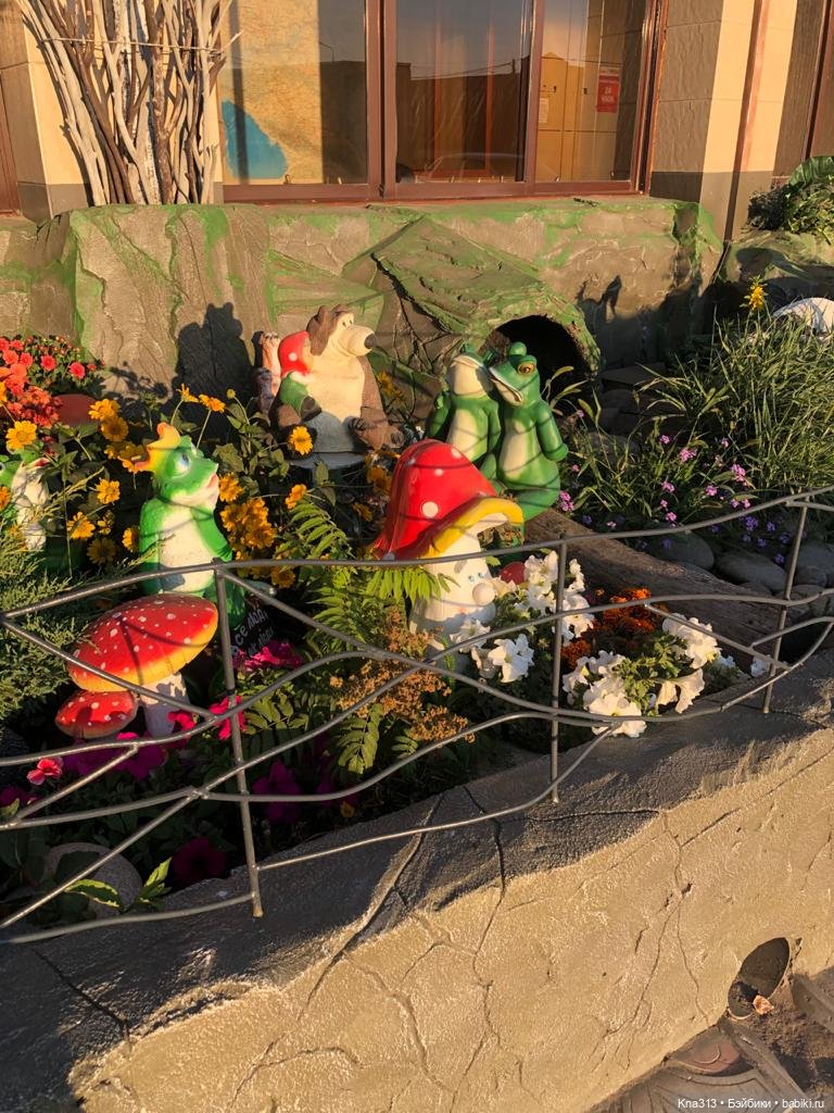 5300 км туда и обратно -2