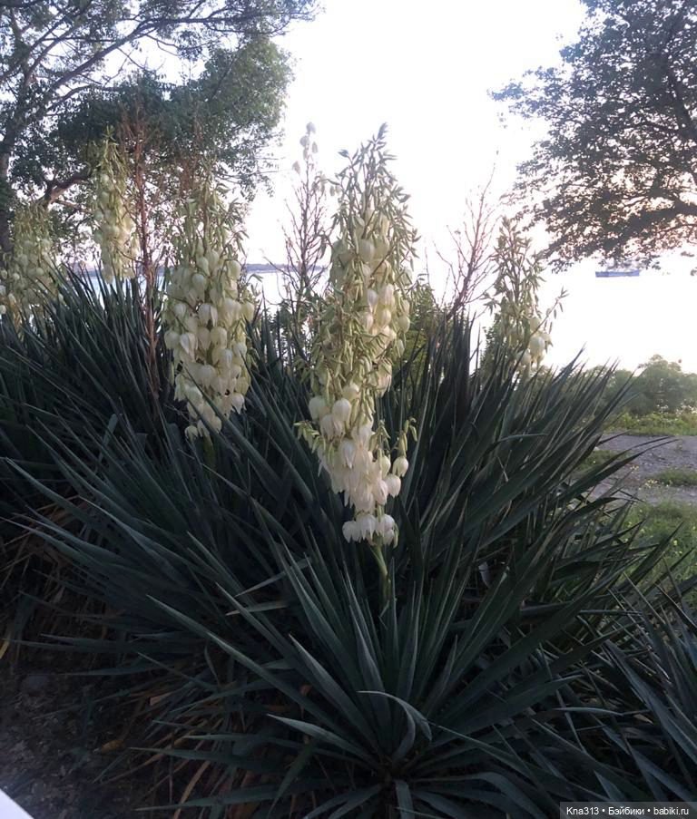 5300 км туда и обратно -2